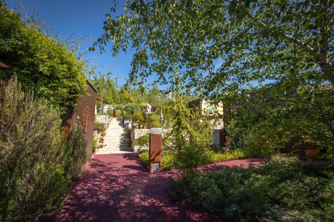 Vale De Sao Torcato Rural Bed & Breakfast Guimarães