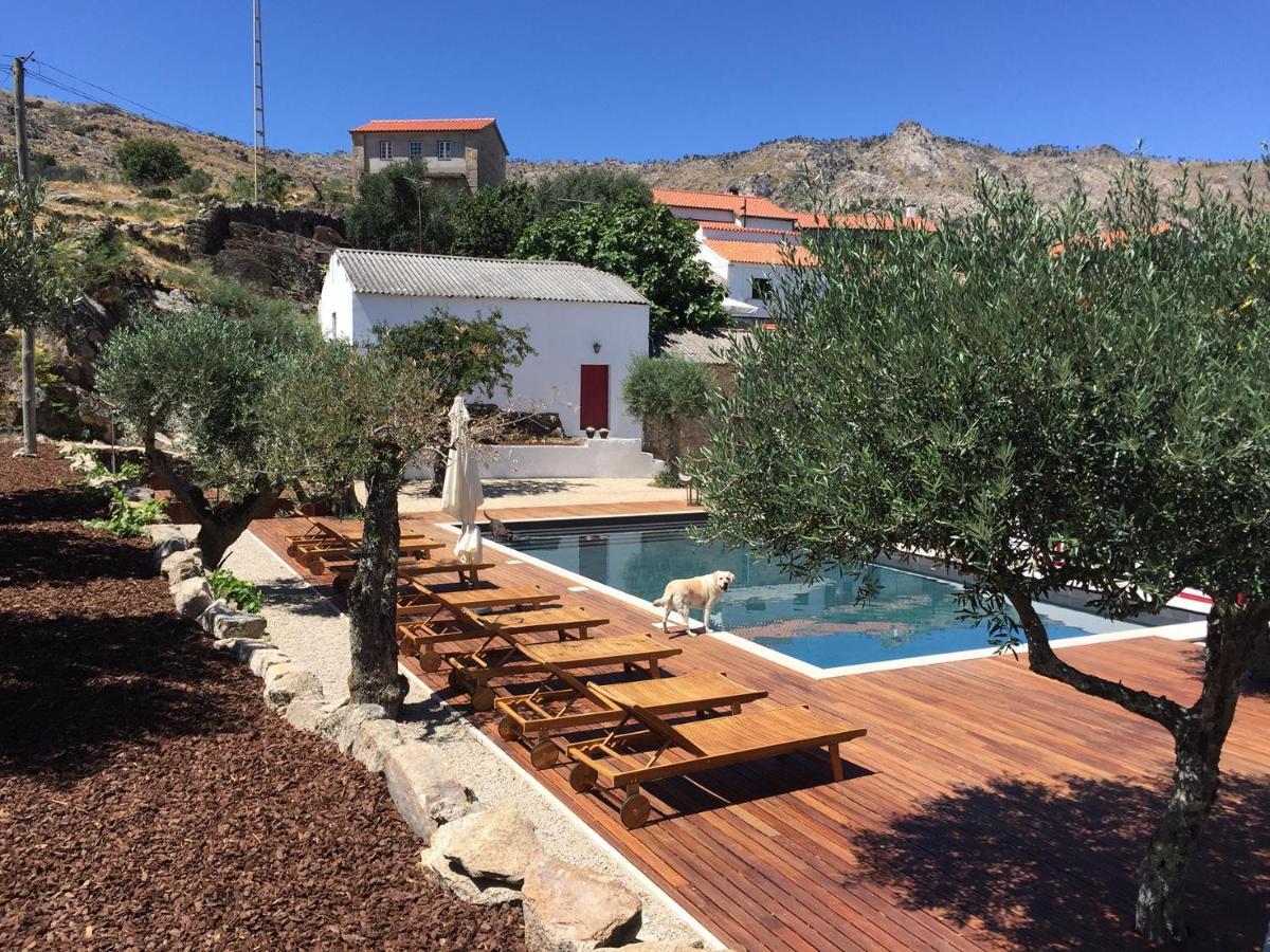 Country house Pedra Nova Castelo Novo