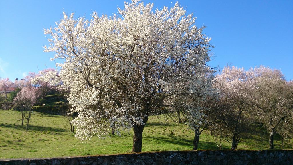 Flor Do Douro - Comercio E Hotelaria, Lda