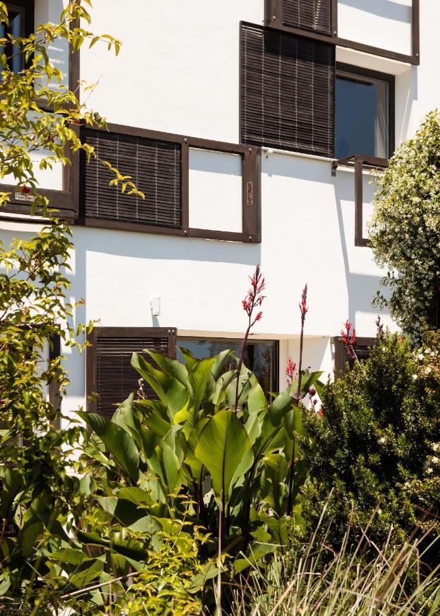 Companhia Das Culturas - Ecodesign & Spa Hotel Farm stay *