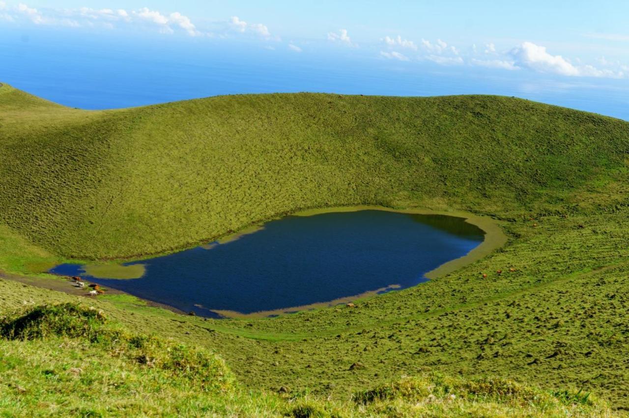 Casa Do Marcelino Lagarto Сasa de vacaciones São Roque do Pico