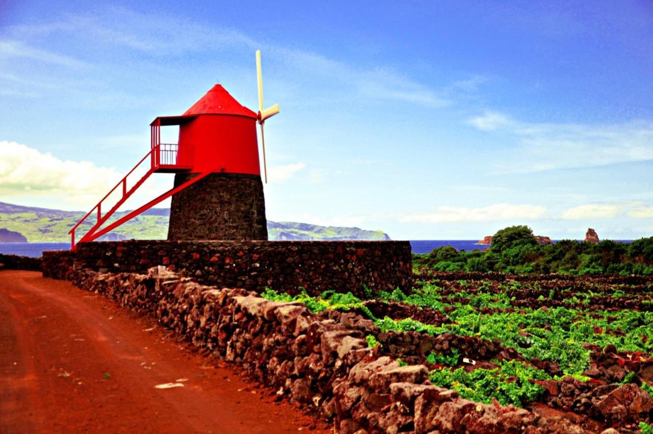 Holiday home Casa Do Marcelino Lagarto Sao Roque do Pico