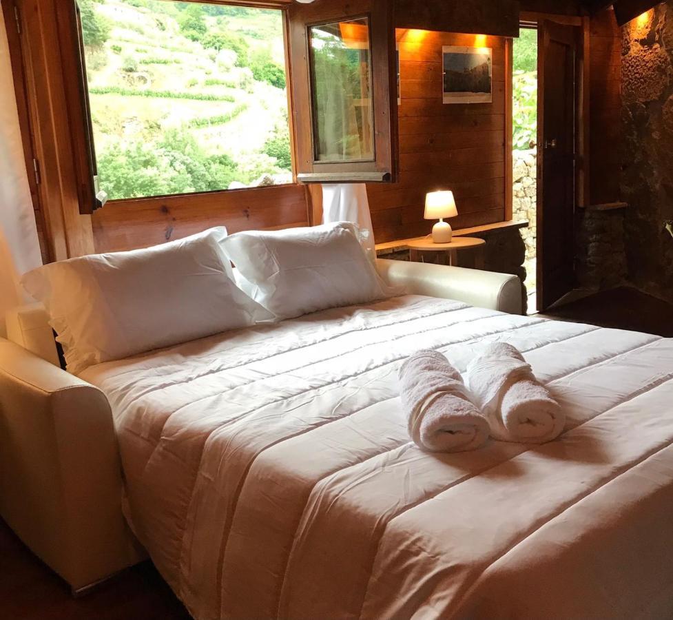 Farm stay Quinta Dos Carvalhos The Wine House Farm In Center Of - Capital Of The Douro Lamego