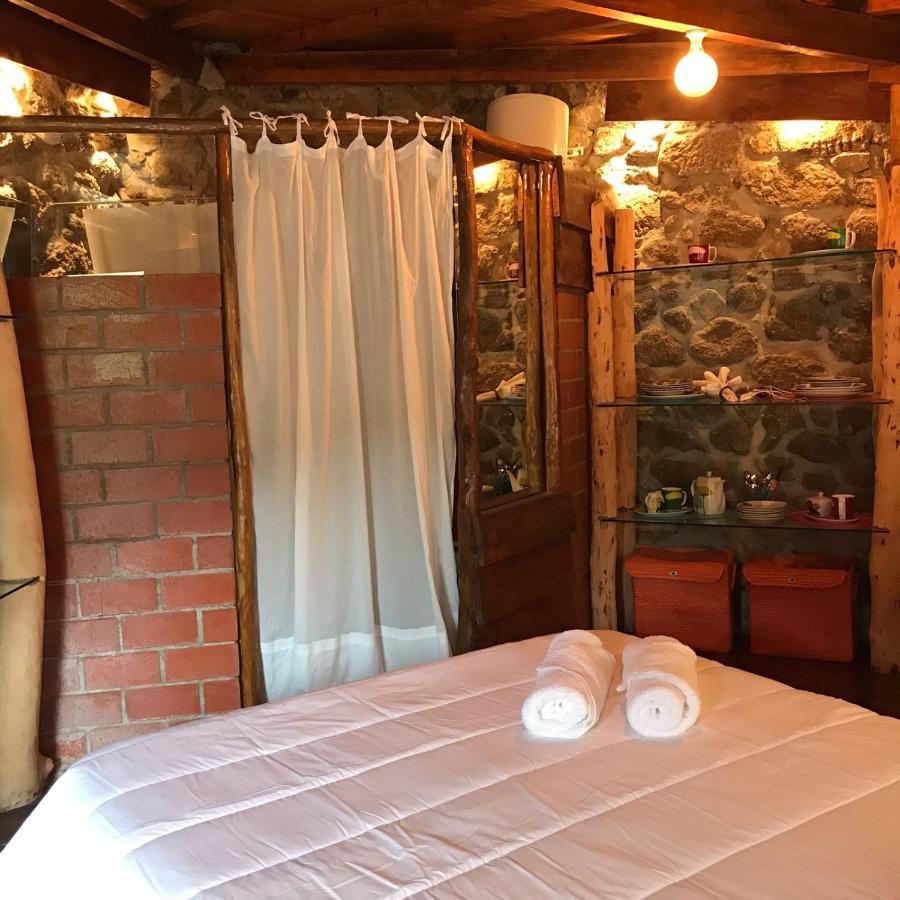 Agroturismo Quinta Dos Carvalhos The Wine House Farm In Center Of - Capital Of The Douro