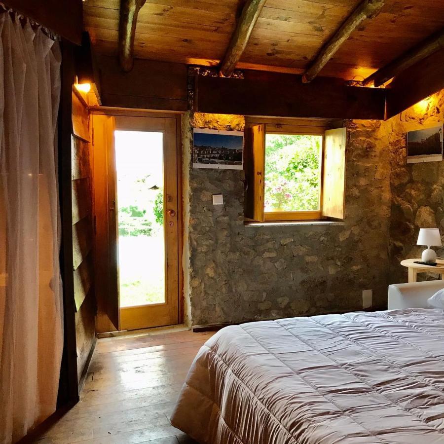 Quinta Dos Carvalhos The Wine House Farm In Center Of - Capital Of The Douro * Lamego