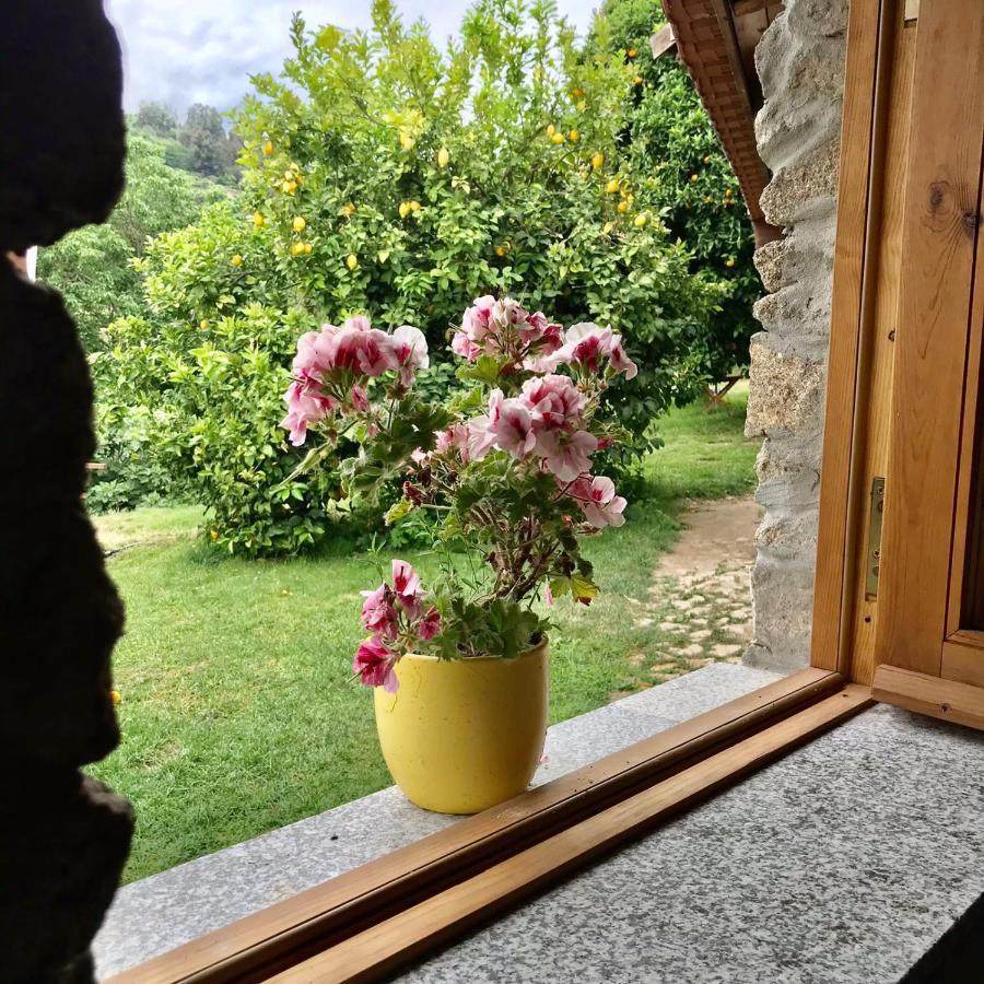Farm stay Quinta Dos Carvalhos The Wine House Farm In Center Of - Capital Of The Douro