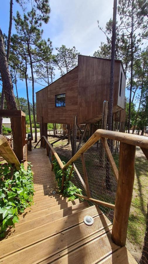 Resort Bukubaki Eco Surf Ferrel (Leiria)
