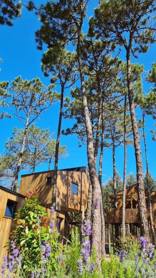 Resort Bukubaki Eco Surf Ferrel (Leiria)