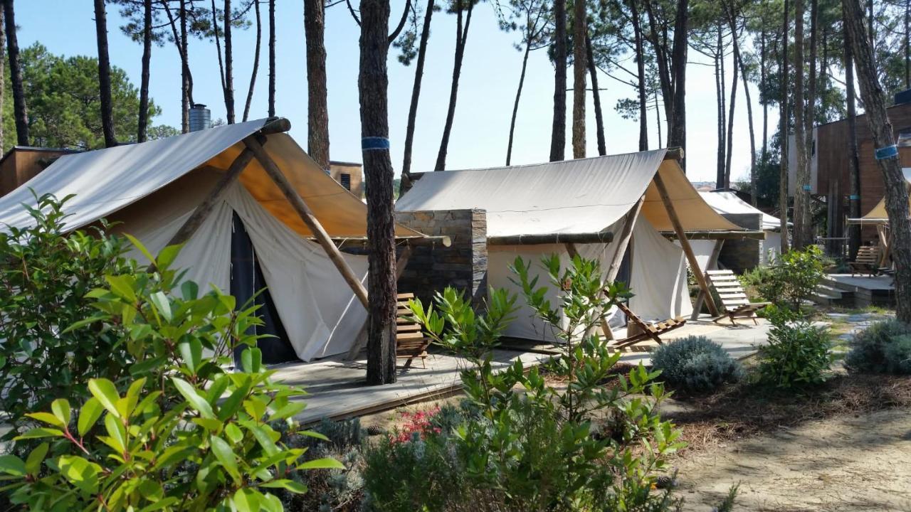 Bukubaki Eco Surf 4*