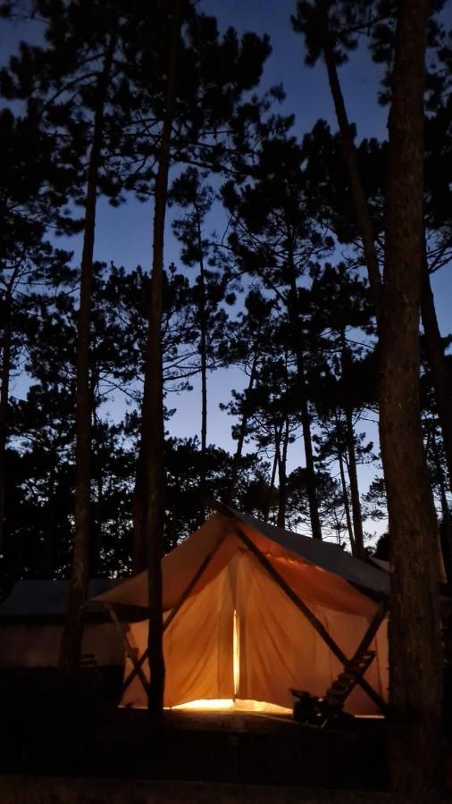 Bukubaki Eco Surf Ferrel (Leiria)