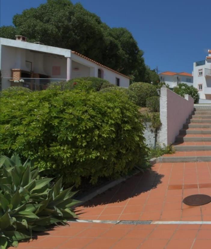 Apartment Granny's House By Trip2portugal Carvoeira