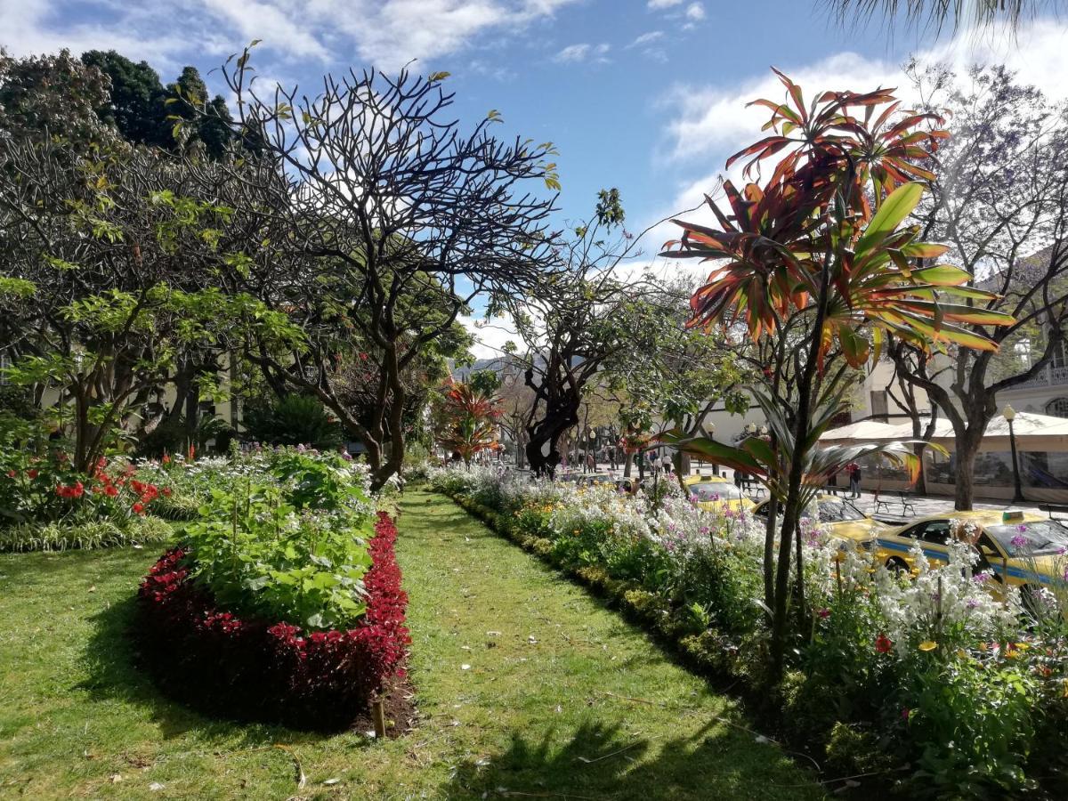 Marina Club Apartment Funchal (Madeira)