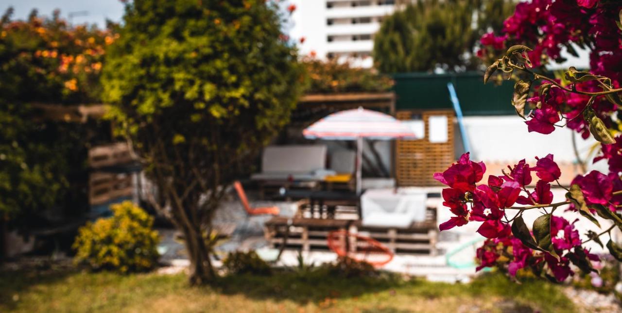 Sandycamps Surf House Guest house *