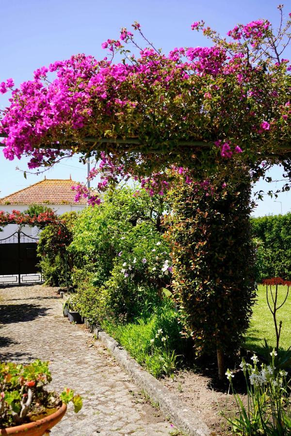 Casa Do Avo Horacio Viana do Castelo