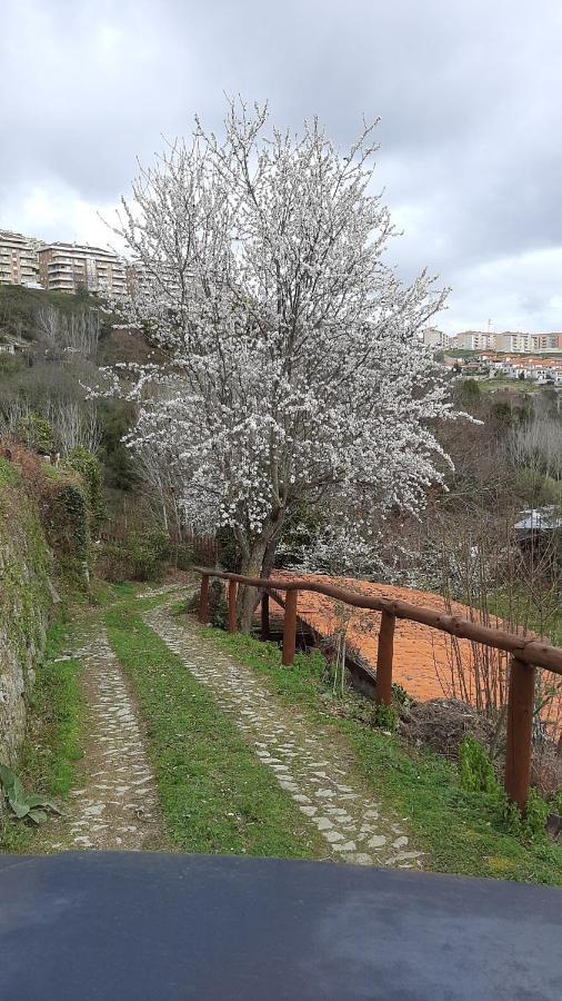 Quinta Dos Carvalhos The Wine House Farm In Center Of - Capital Of The Douro Farm stay *