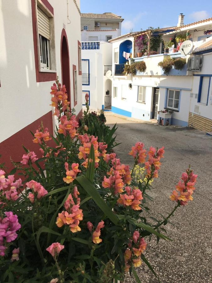 Guest house Casa Lua *