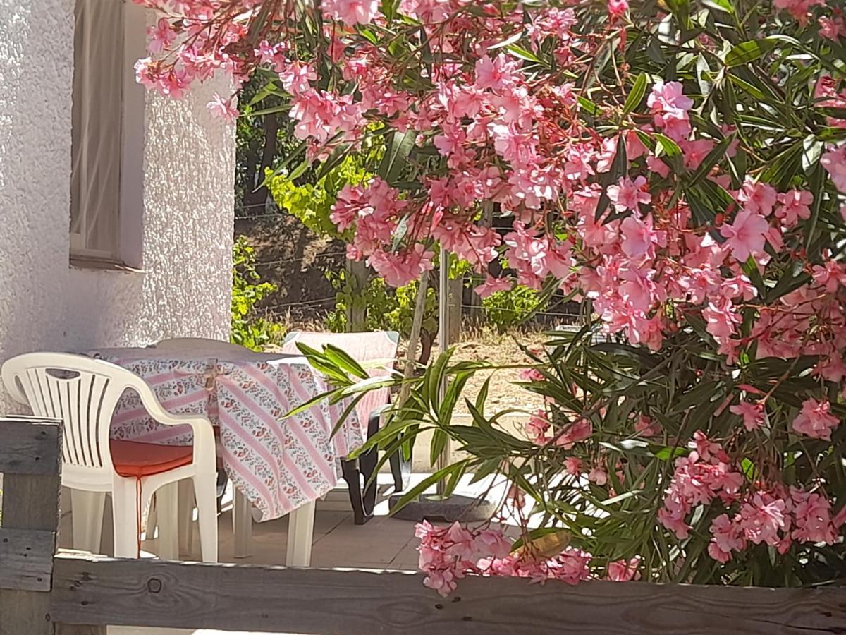 Holiday home Nature Houses Lagos