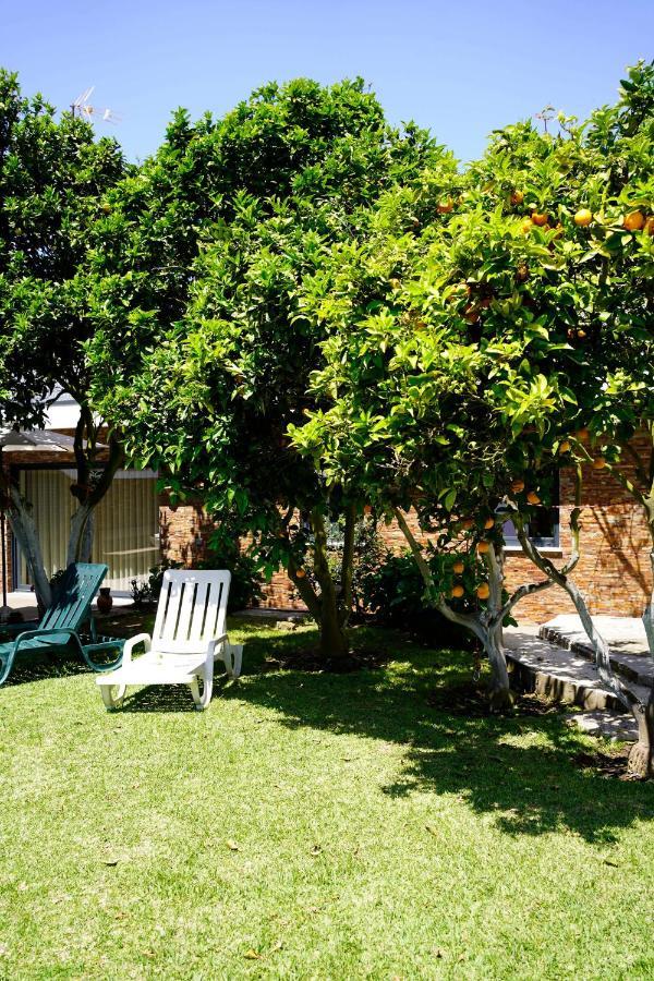 Casa Do Avo Horacio *