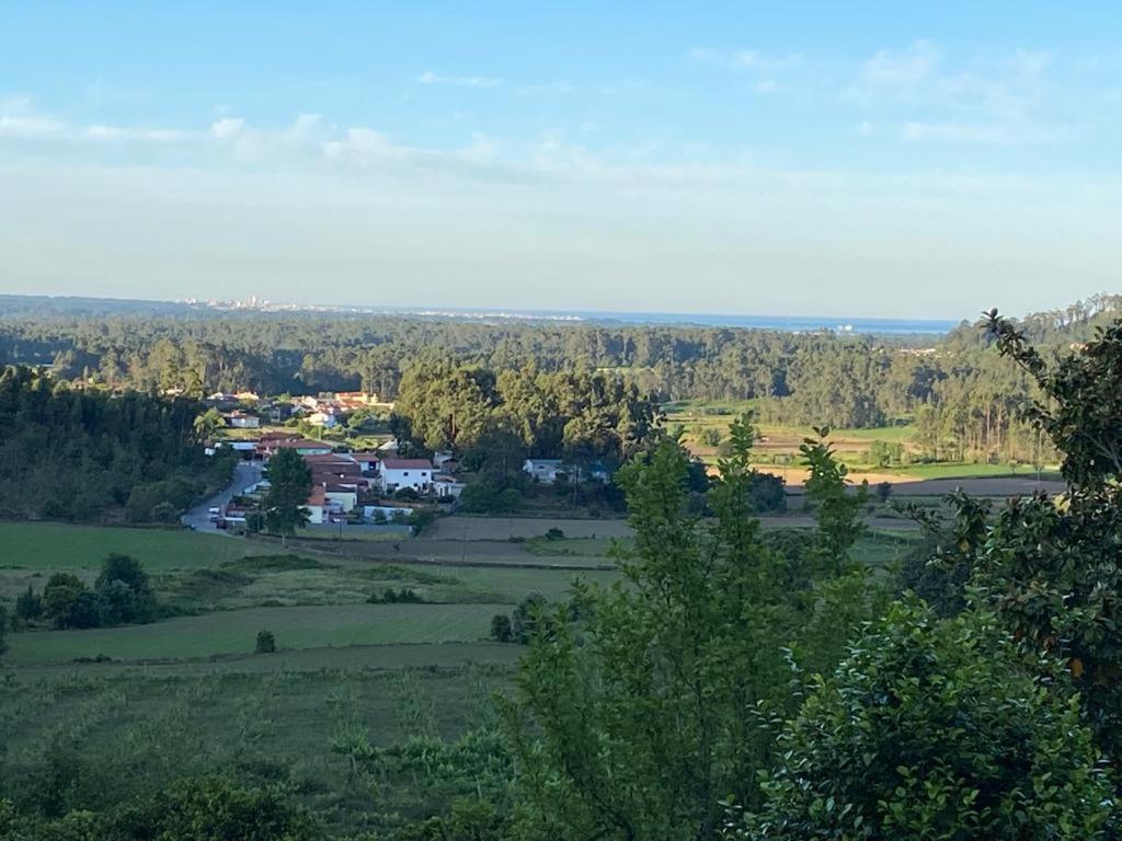 Lovely 6-bed In - Cova Holiday home Barcelos