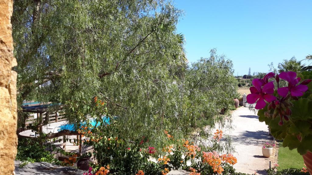 Solar Da Campina Guest house