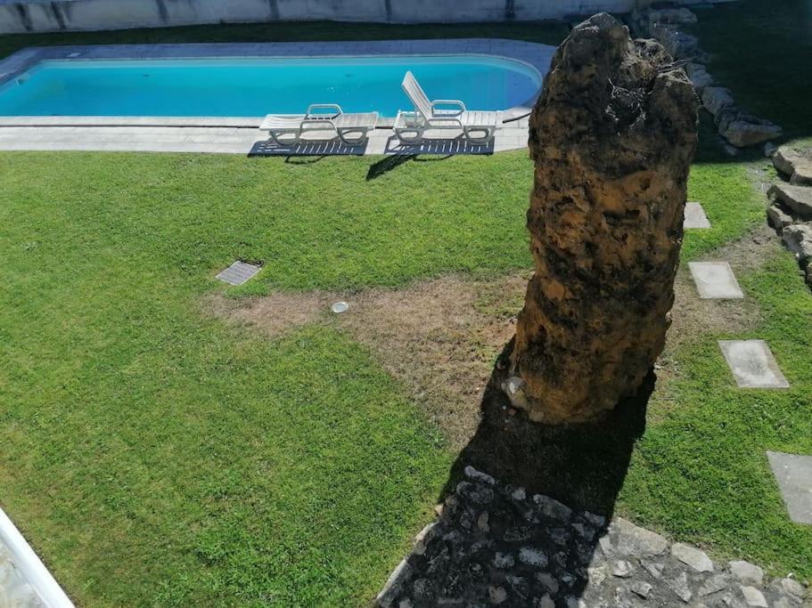 Apartment Amazing By The Ocean - Fully Equipped!