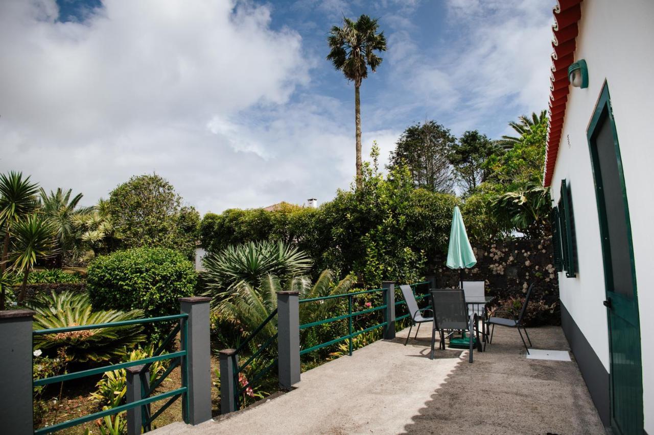 Casa Palmeiras Holiday home *