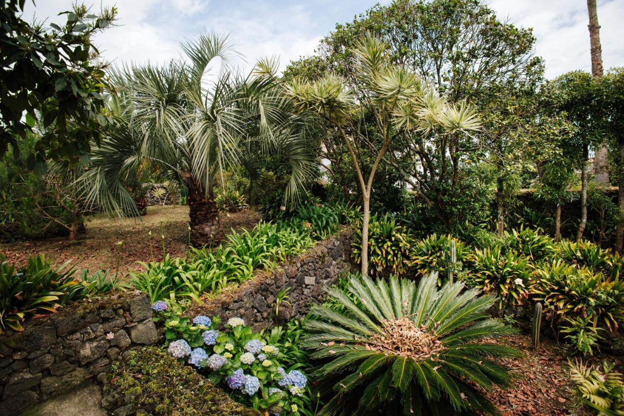 Casa Palmeiras Holiday home
