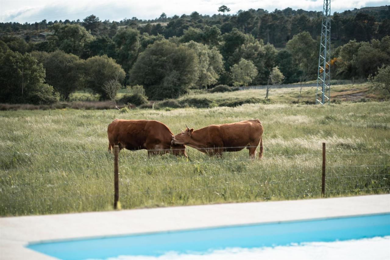 Quinta Do Rio Noemi * Guarda