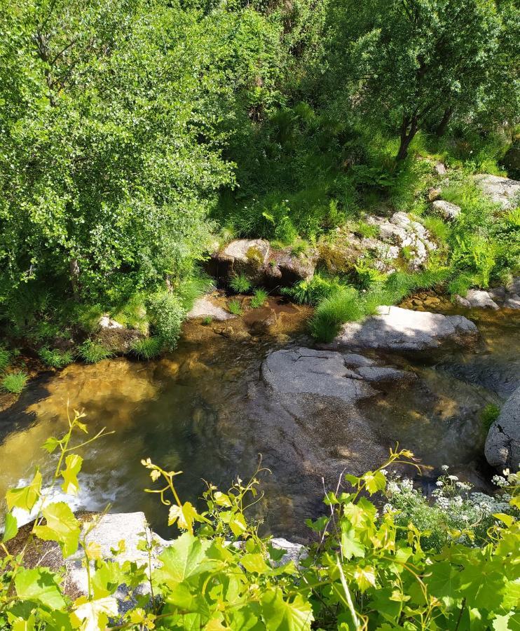 Abrigo Do Cabecinho - Serra Da Estrela Holiday home