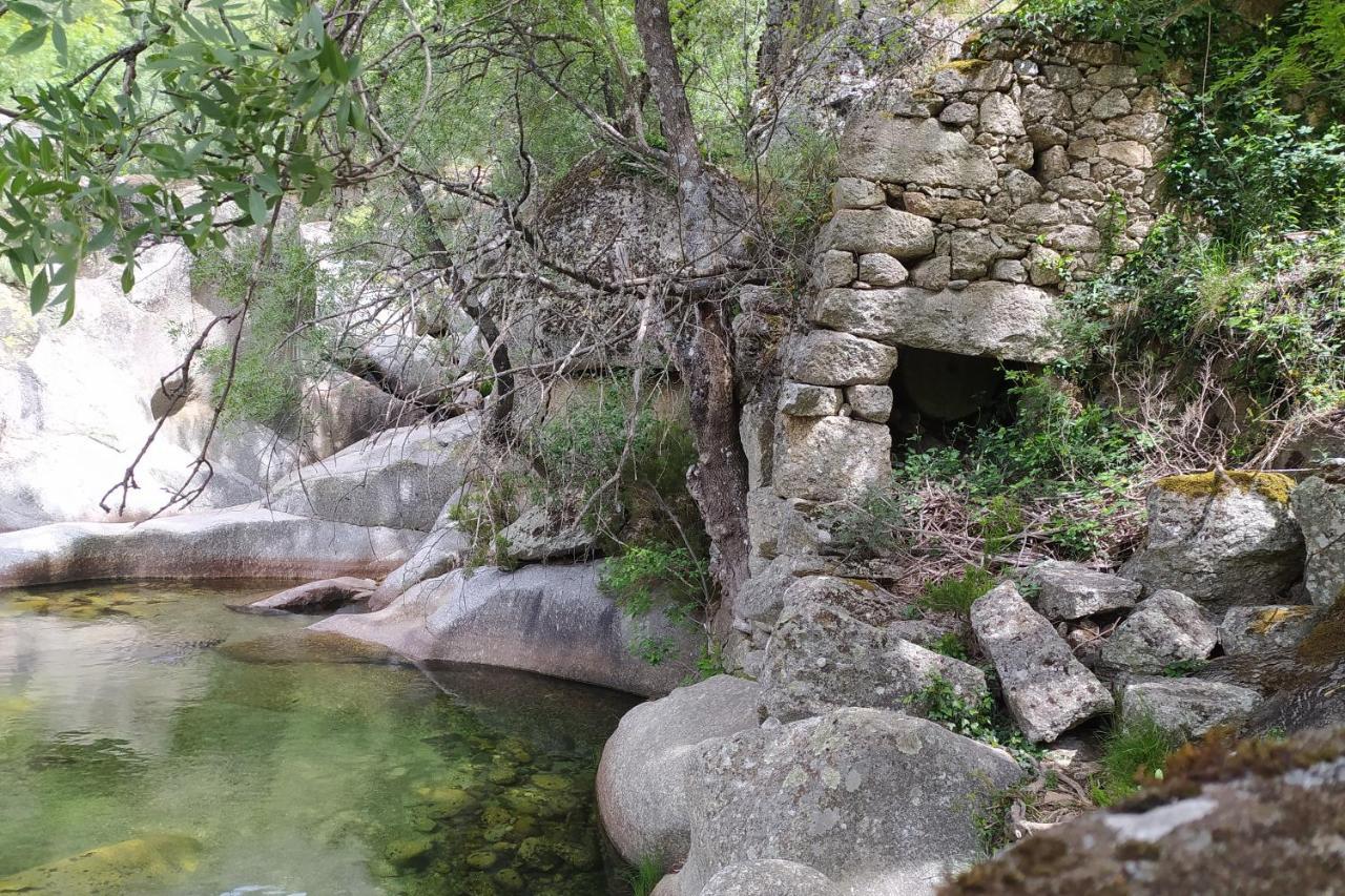 Holiday home Abrigo Do Cabecinho - Serra Da Estrela