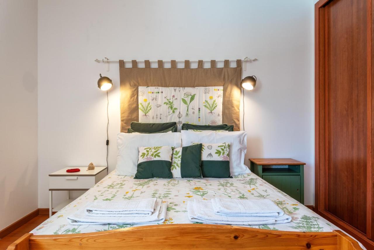 Apartment Alojamento Santa Maria