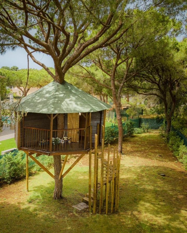 Portuguese Mansion Close To Marina, Golf And Beach. *