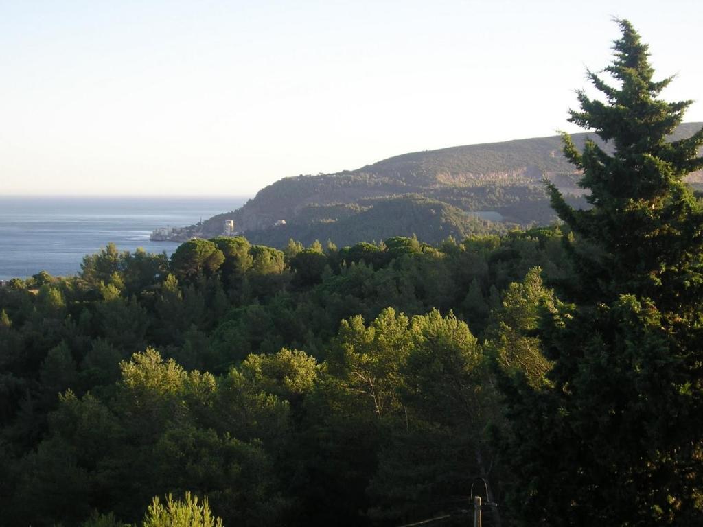 Villa Quinta De Sao Filipe *