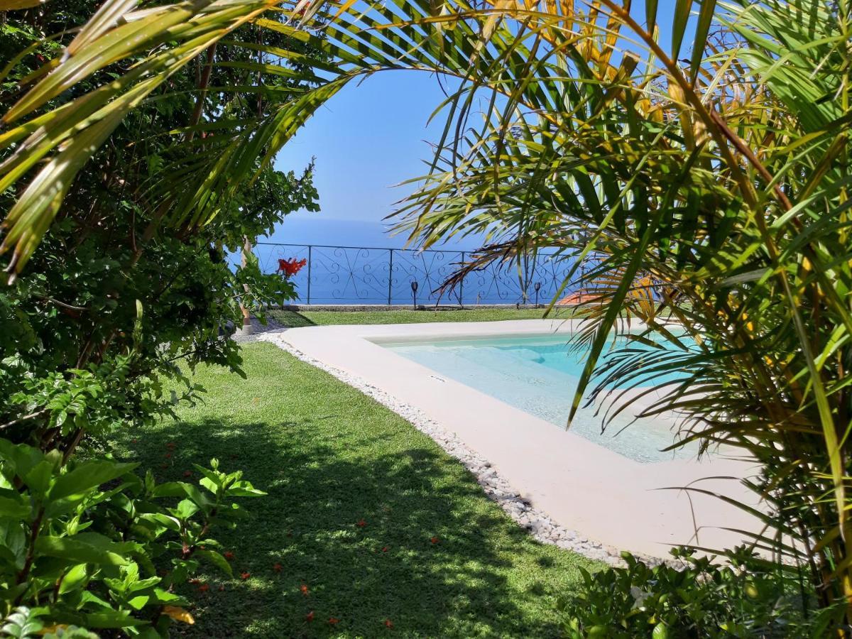 Guest house Casa Velha D Fernando E Casa Avo Augusta Ribeira Brava