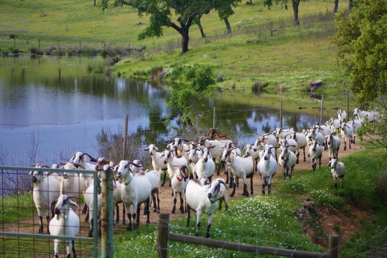 Herdade Vale De Cabras Portel