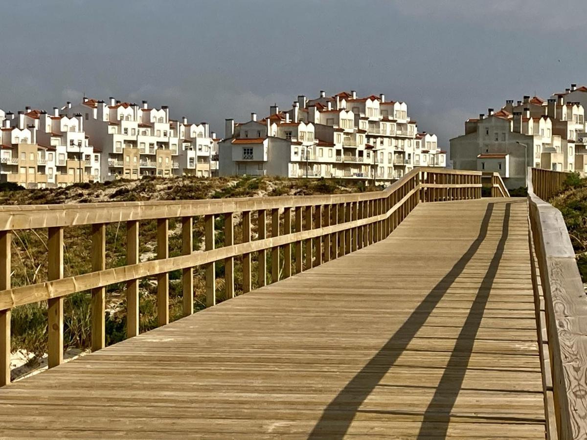 37 - Driftwood Ocean * Peniche