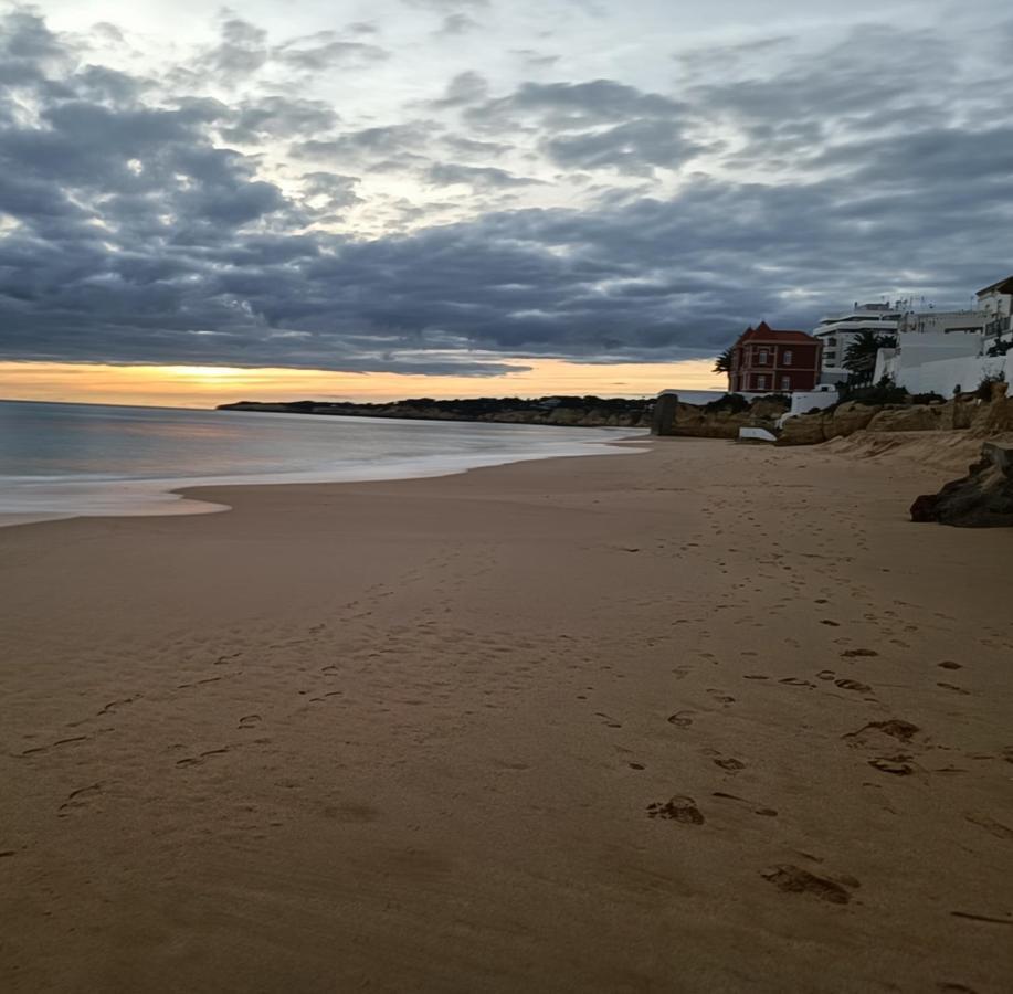 Algarpapa *