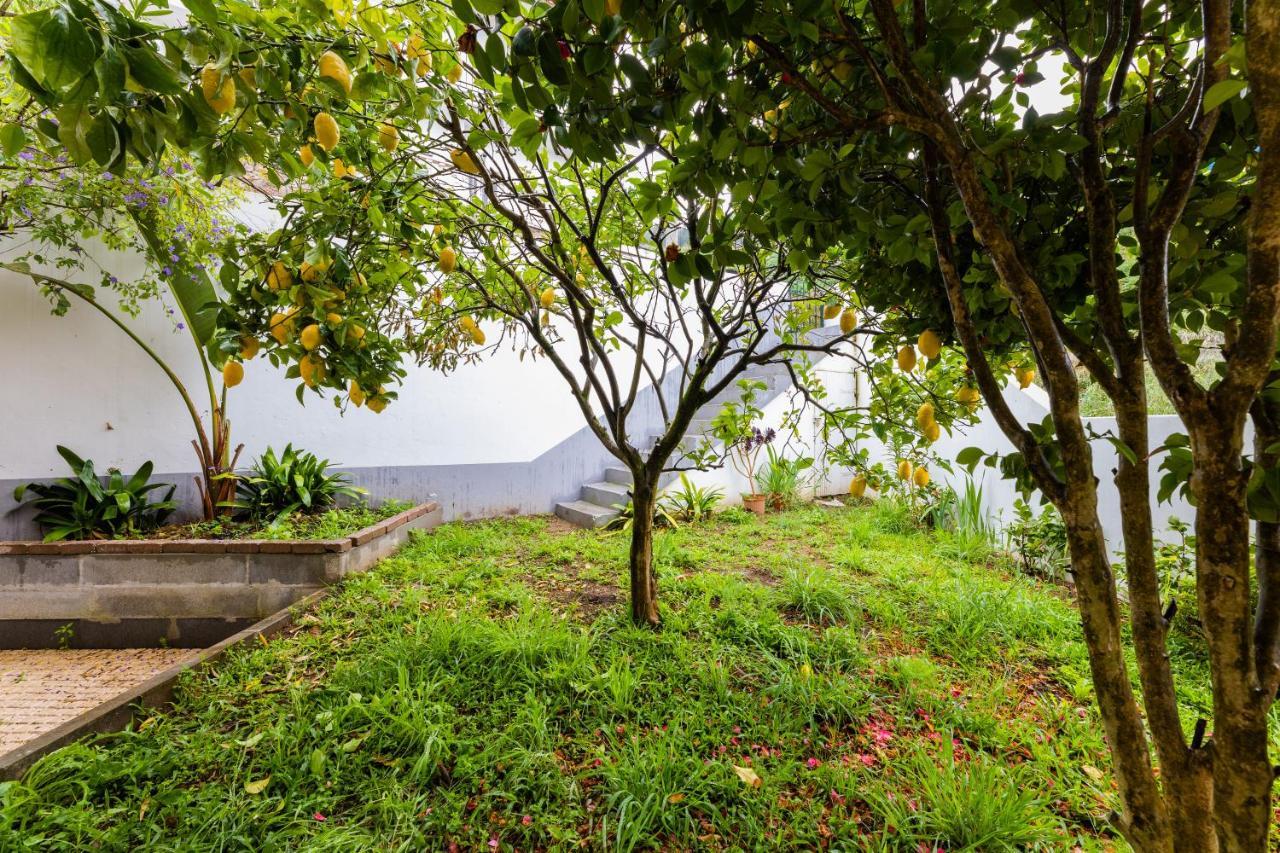 Bestvillas Seixas Beira Rio