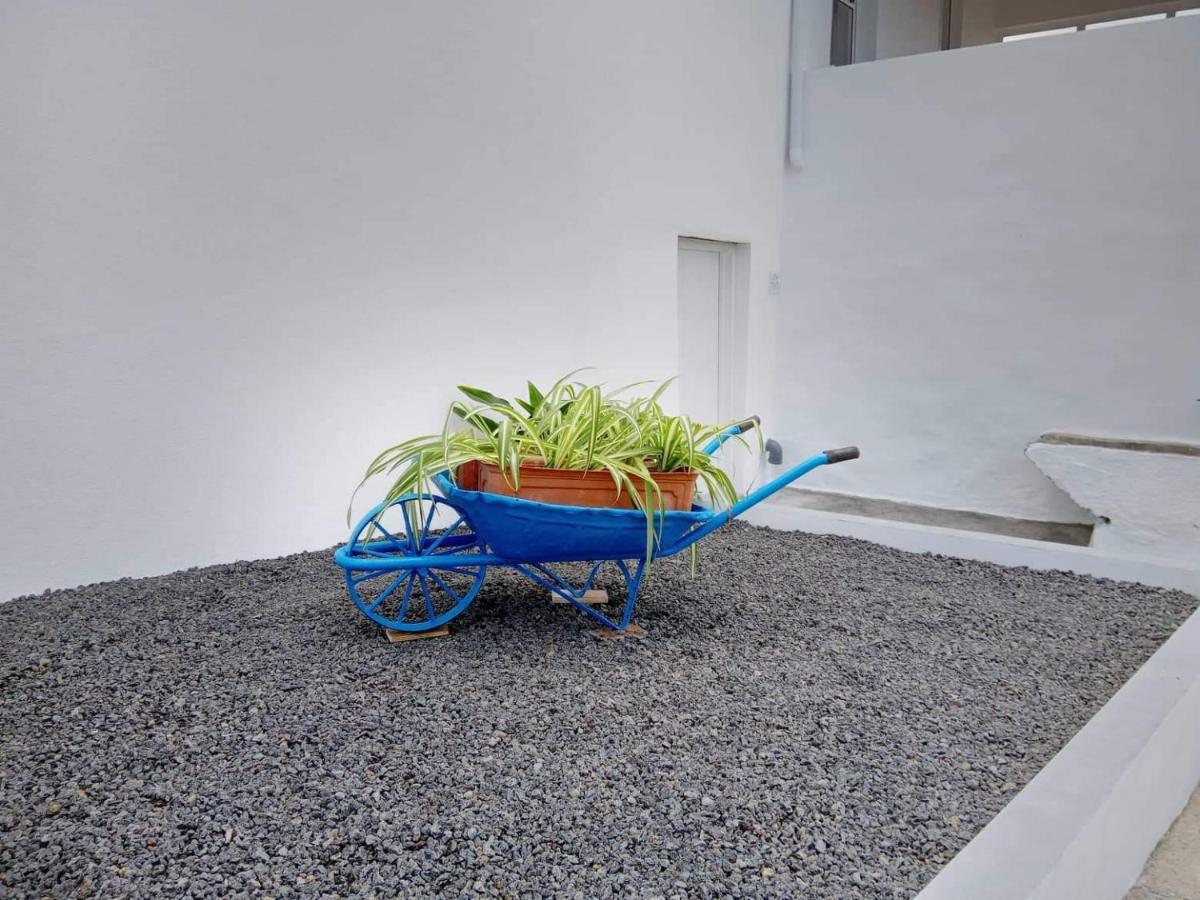 Casa Do Marcelino Lagarto Sao Roque do Pico
