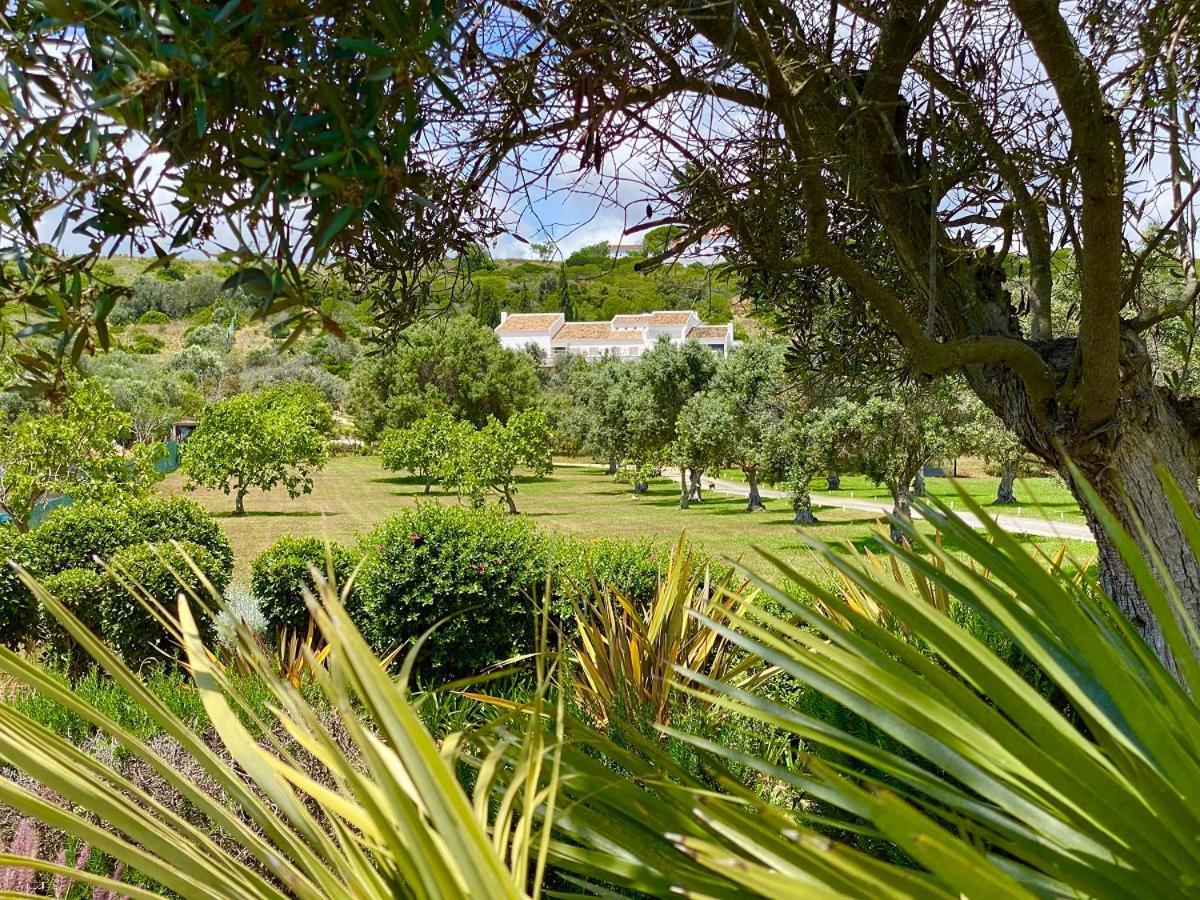 Valverde Design Country