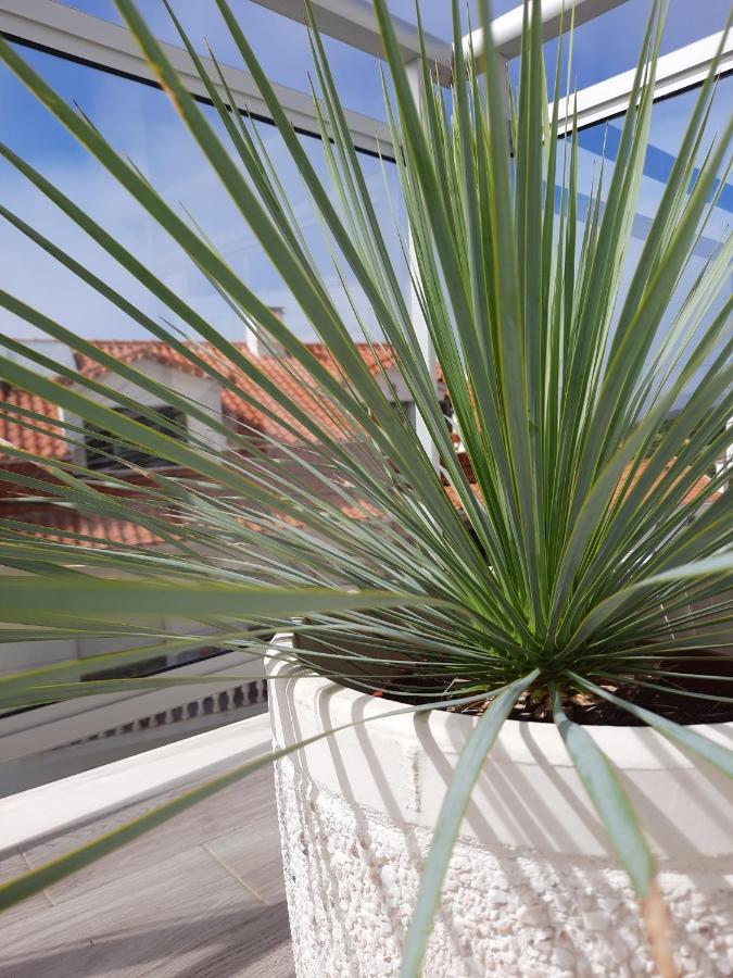 Sitius 5b - New Seaview With Rooftop Terrace In Historical Centre Sitio Da Apartment