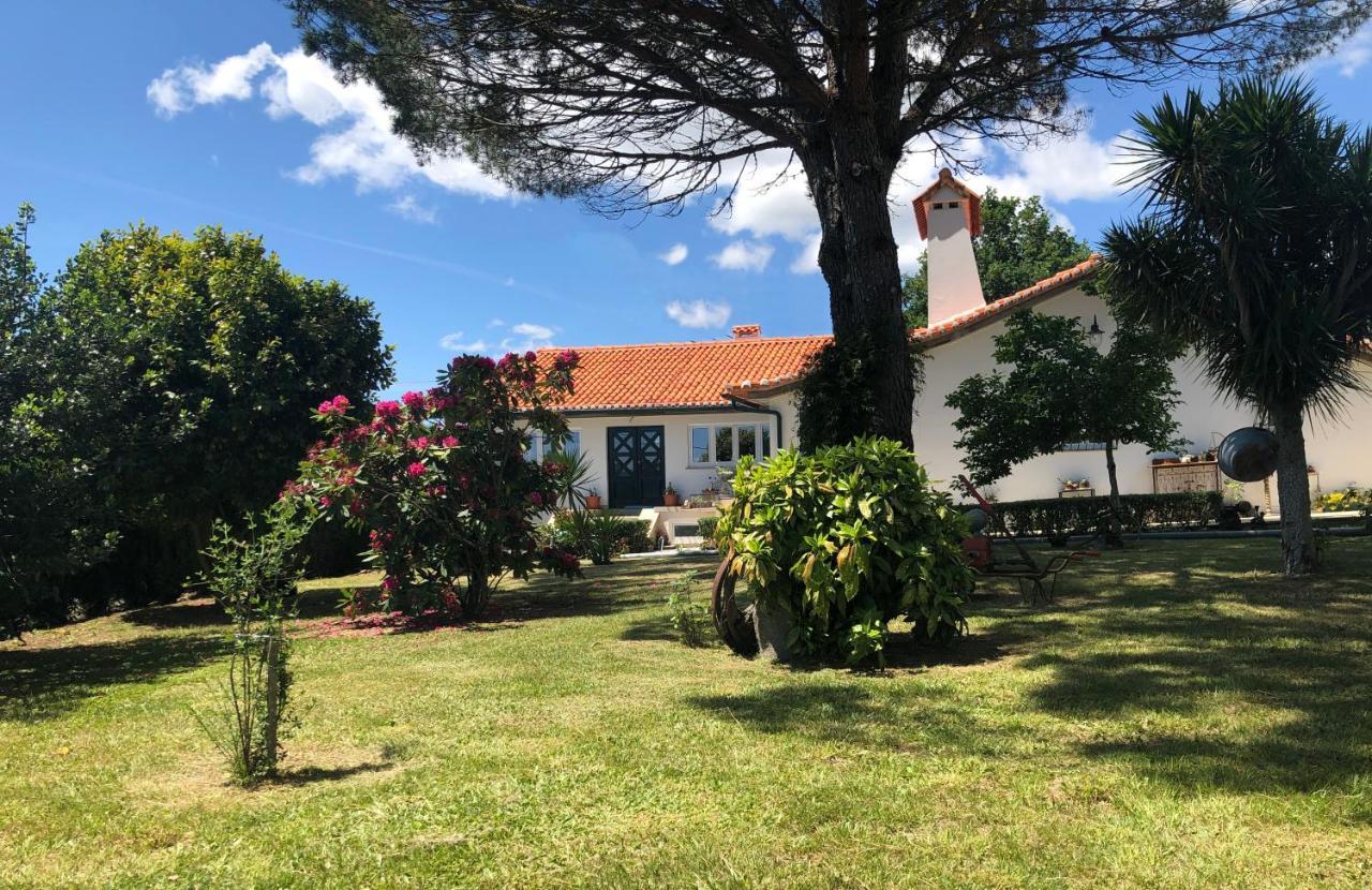 Casas Viriatus - Holiday home *