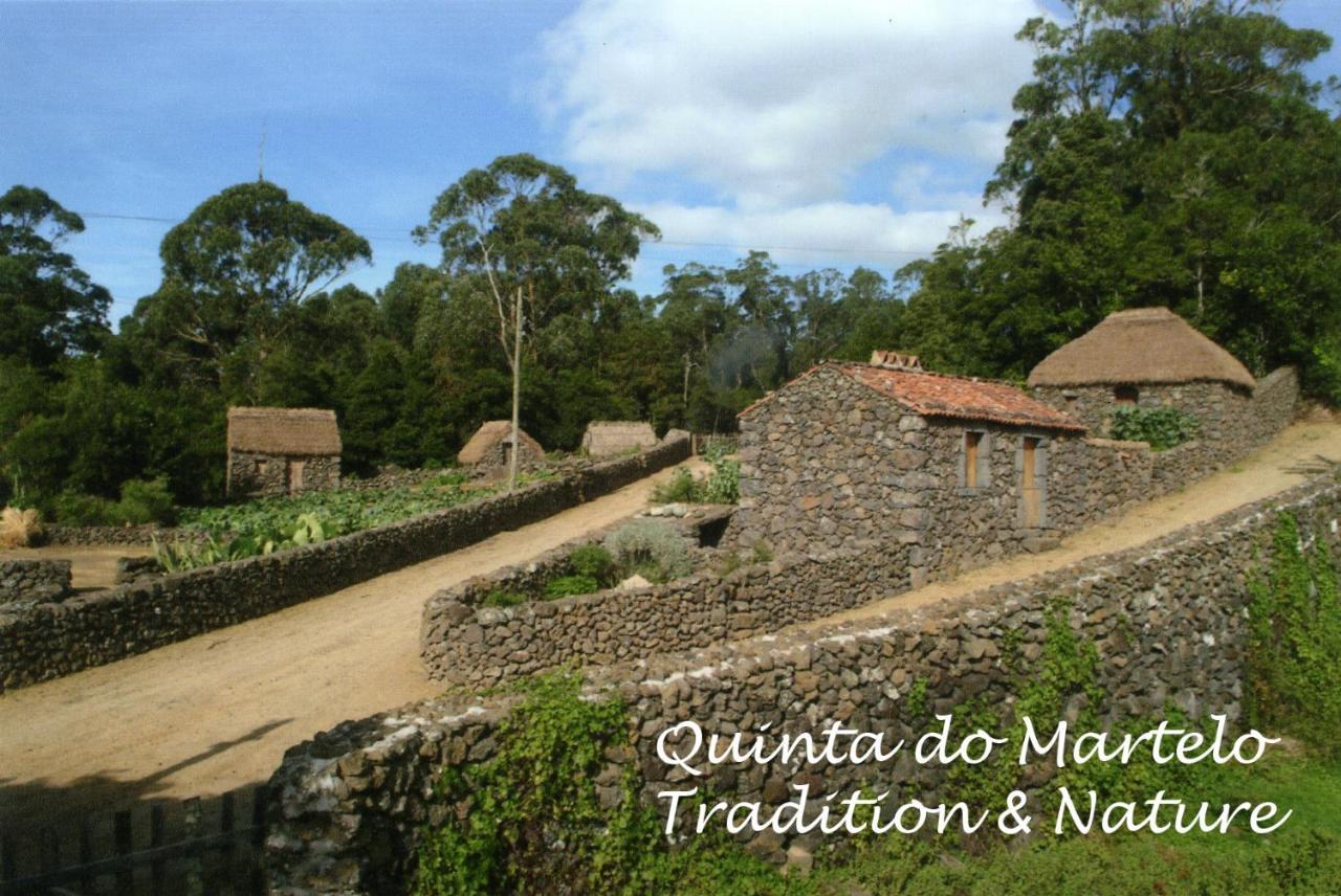 Guest house Quinta Do Martelo