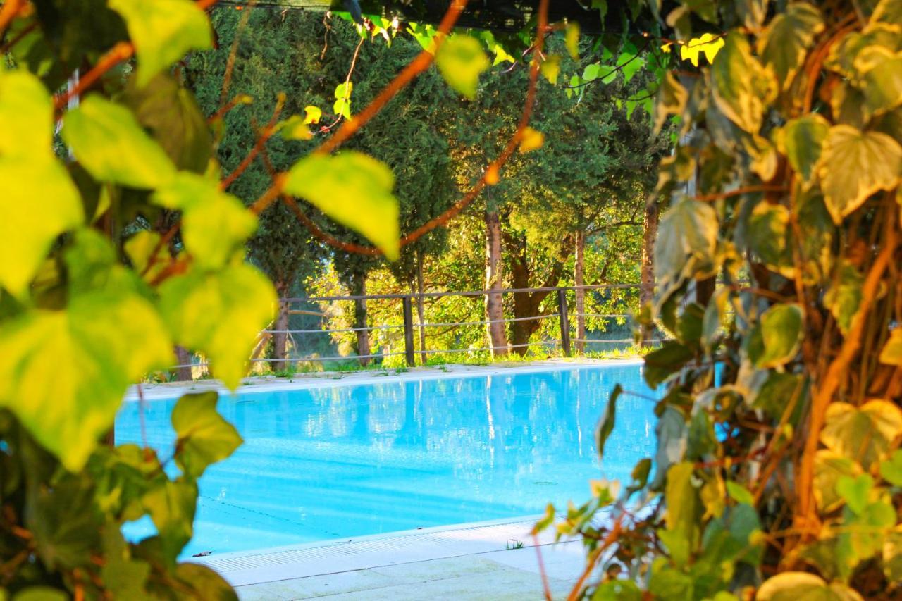 Campsite & Coimbra