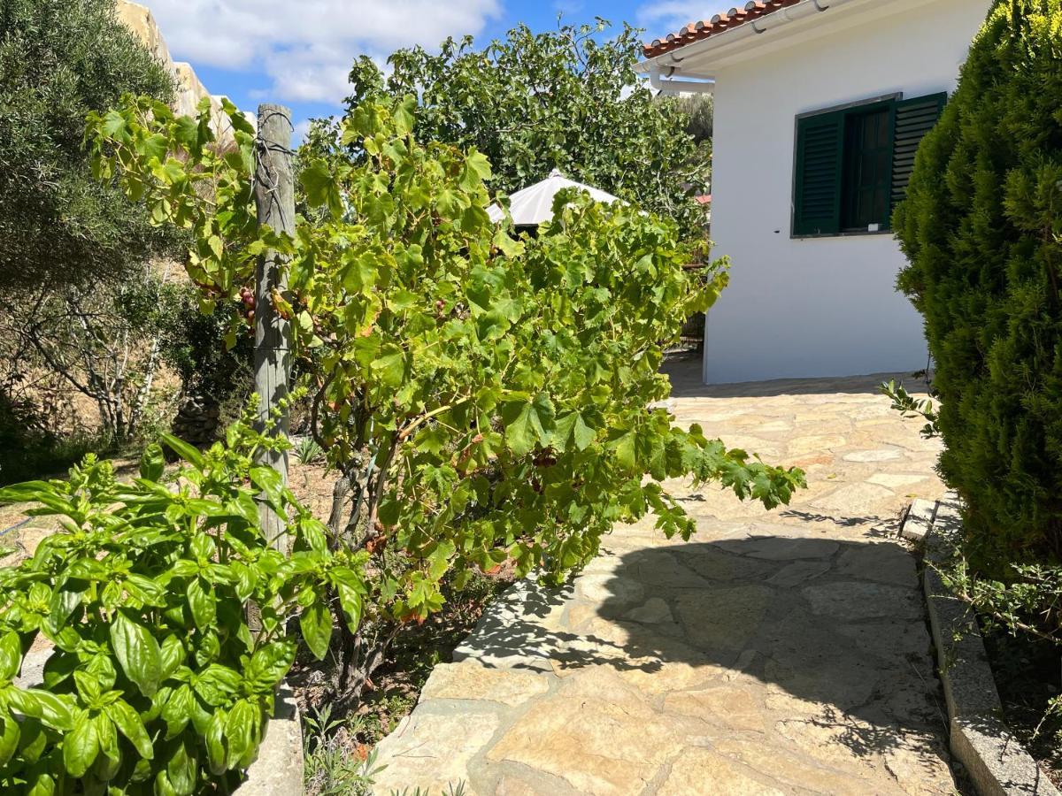 Silver Coast Vacation - Your Unique 3* Lourinha (Lisbon)