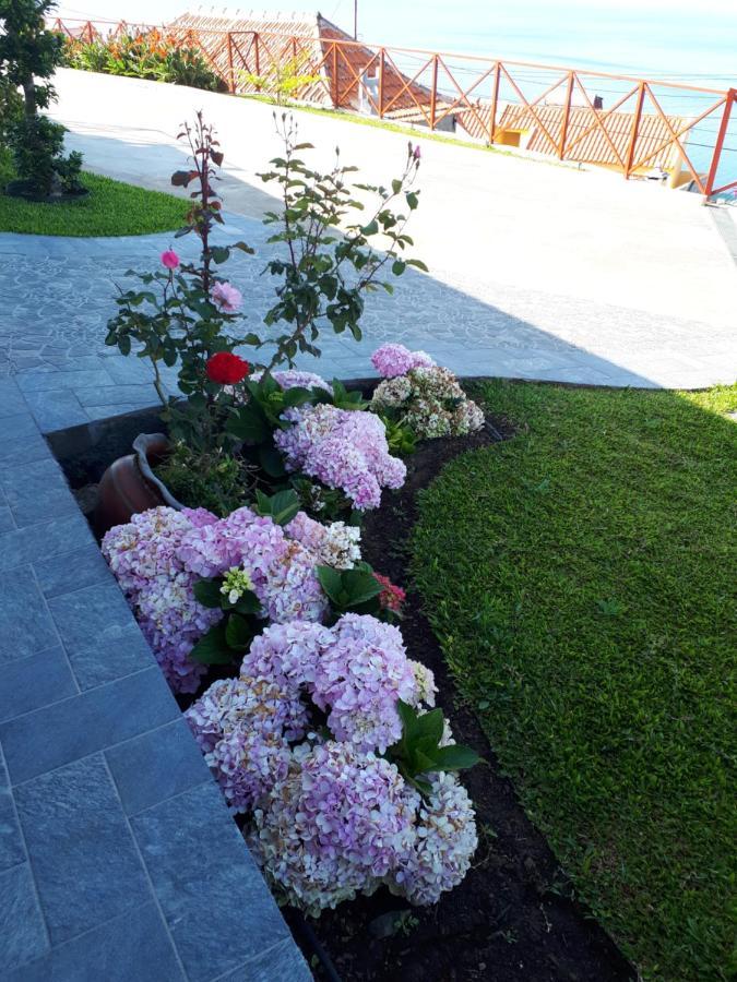 Casa Dinastia Sotao Y Casa Dinastia Miramar Accommodatie bij particulieren Ribeira Brava