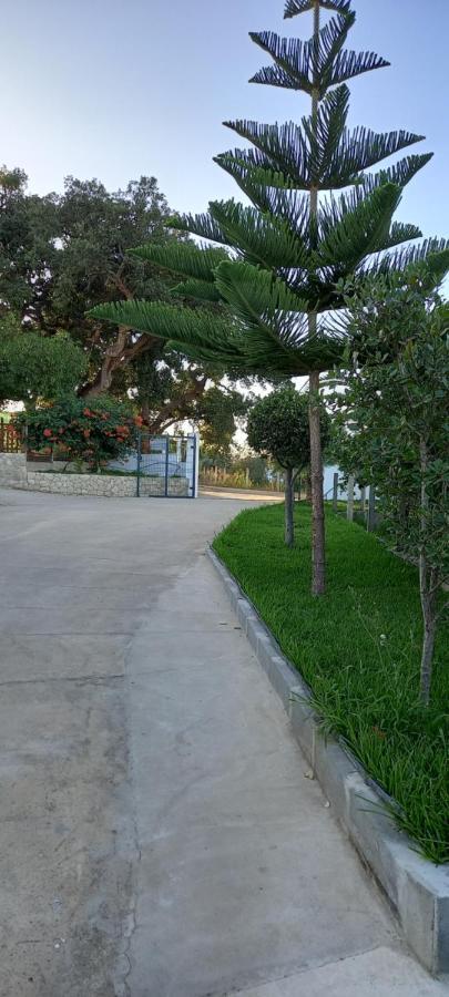 Monte Da Vinha Nova Holiday home