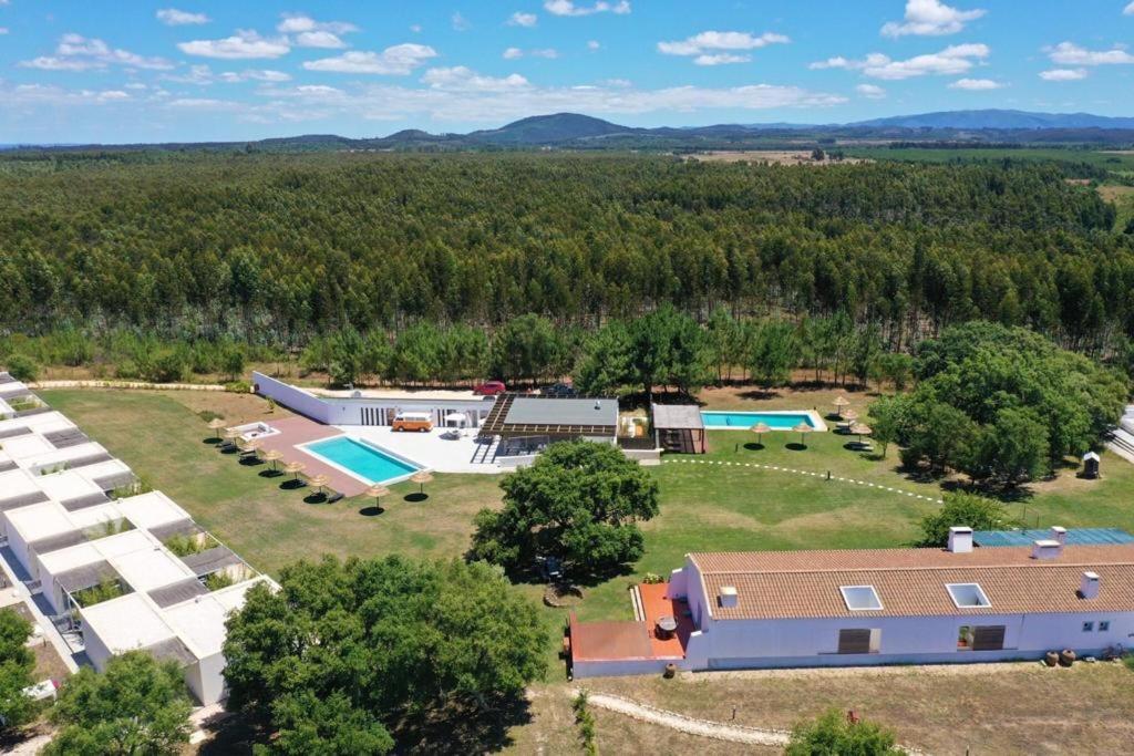 Pe No Monte