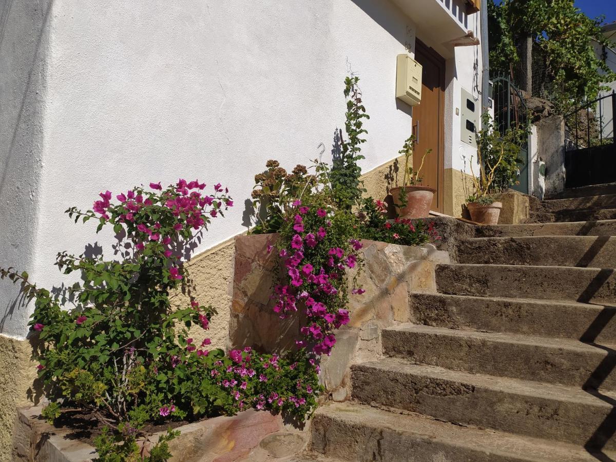 Abrigo Do Cabecinho - Serra Da Estrela Holiday home *