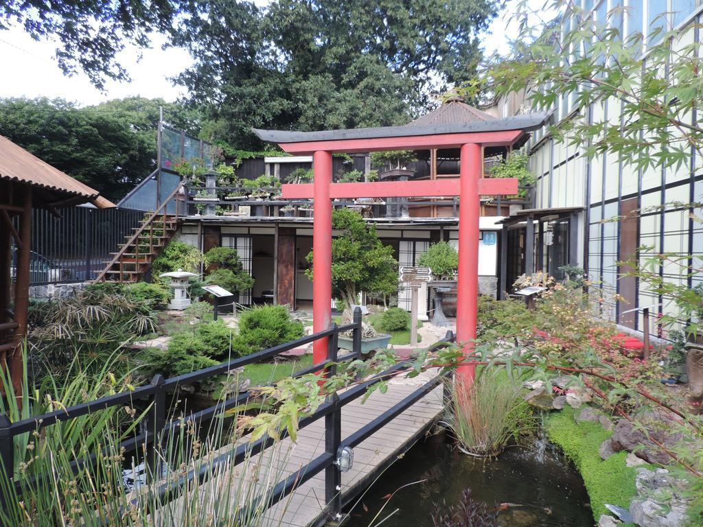 Zen - Museu Do Bonsai